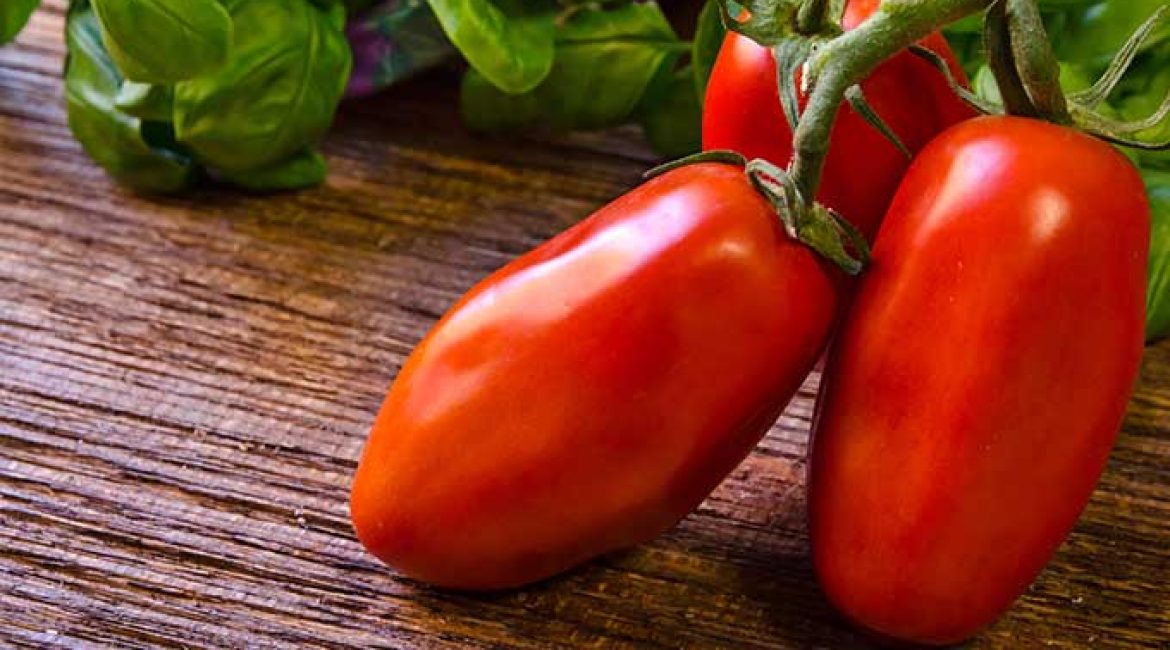 What makes San Marzano Tomatoes so Special?